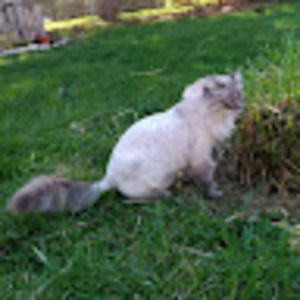 Meet your Posher, Heather